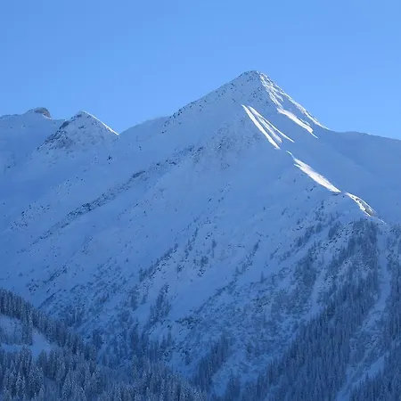 Pez Regina Hotel Lumbrein